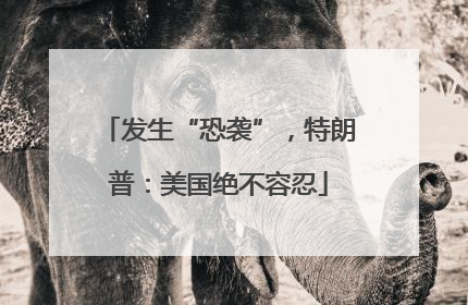 发生“恐袭”，特朗普：美国绝不容忍